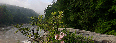 Ferncliff