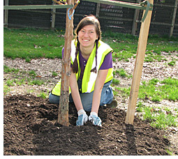 TreeVitalize Pittsburgh volunteer planting in Allegheny Commons