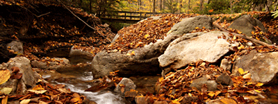 Bear Run
