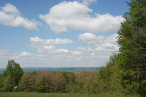 A view of Bear Run Nature Reserve near the newly acquired property.