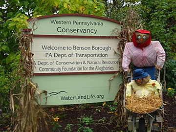 Garden at Benson Borough, 2010