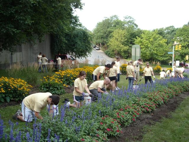 Volunteers weed at Centre and Herron, 2009