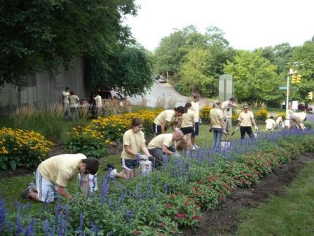 Centre and Herron weeding, 2009