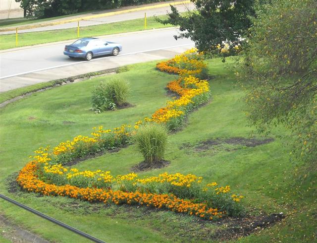 Edgewood Garden 2009