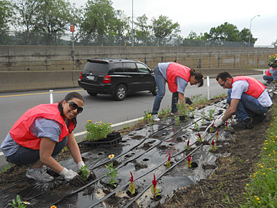 Volunteers plant the garden at Highland Park Bridge