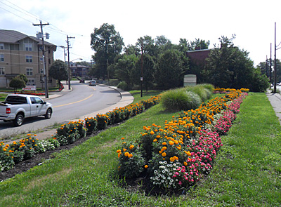 Garden in Homewood at Frankstown Avenue and Bennett Street