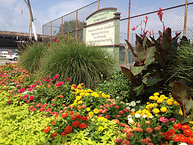 Community garden at Marshall Ave and California Ave in Pittsburgh's Marshall-Shadeland community, summer 2012