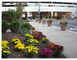The convention center
