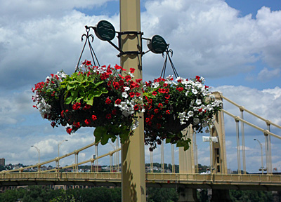 Downtown Hanging Baskets on the Warhol Bridge, Summer 2012