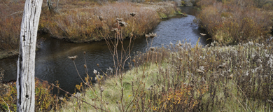 West Branch French Creek