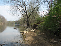 Firth property