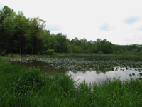 French Creek