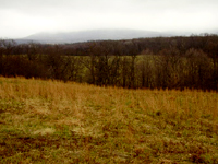 The Laskow Property
