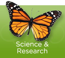 Science & Research Banner