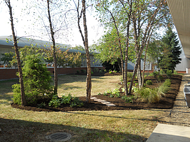 New implementation at Sunnyside School, 2010