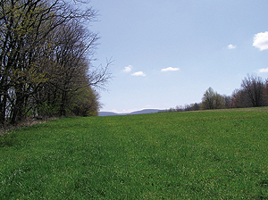 “So many landowners in the valley recognize that they live in a special place and want to be a part of the long-term protection of the valley’s open space, farmland and scenic views.”
- Thomas Saunders,
WPC CEO
